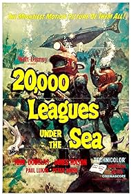 20,000 20,000