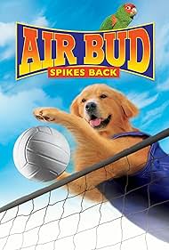 Air