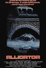 Alligator Alligator