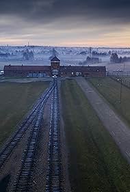 Auschwitz: Auschwitz: