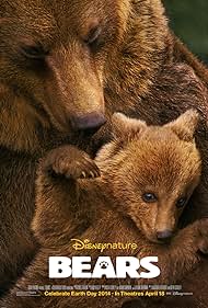 Bears Bears