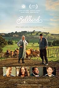 Bellbird Bellbird