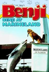Benji Benji