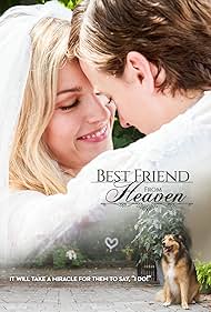 Best Best