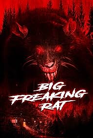 Big Big