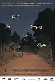 Birds Birds
