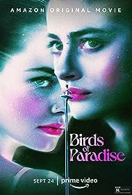 Birds Birds