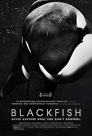 Blackfish Blackfish