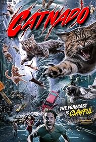 Catnado Catnado