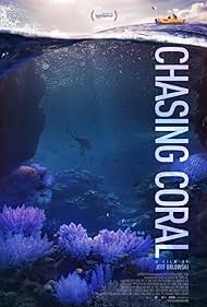 Chasing Chasing