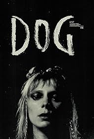 Dog Dog