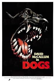 Dogs Dogs