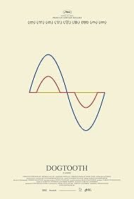 Dogtooth Dogtooth