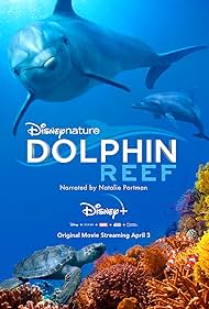 Dolphin Dolphin