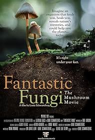 Fantastic Fantastic