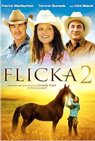 Flicka Flicka