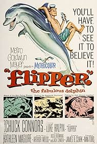 Flipper Flipper