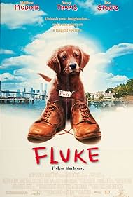 Fluke Fluke