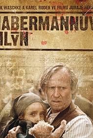 Habermann Habermann