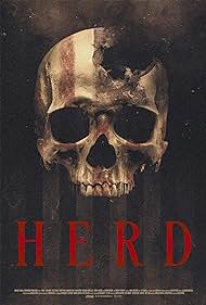 Herd Herd