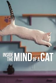 Inside Inside