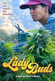 Lady Lady