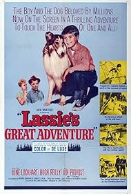 Lassie's Lassie's