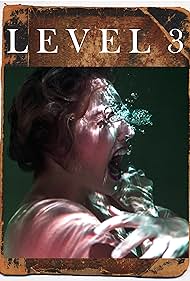 Level