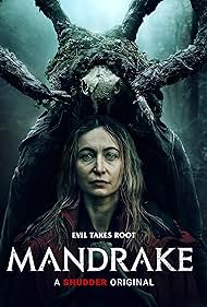 Mandrake Mandrake