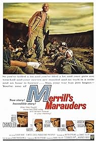 Merrill's Merrill's