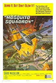 Mosquito Mosquito