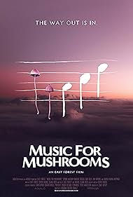 Music Music