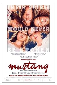 Mustang Mustang
