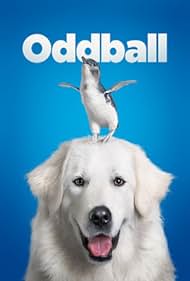 Oddball Oddball