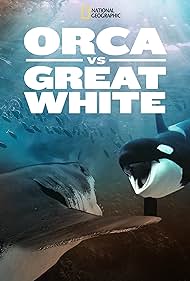 Orca