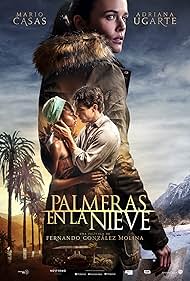 Palm Palm