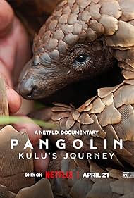 Pangolin: Pangolin: