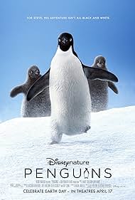 Penguins Penguins