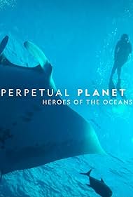 Perpetual Perpetual
