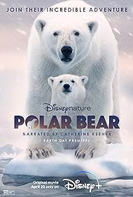 Polar Polar
