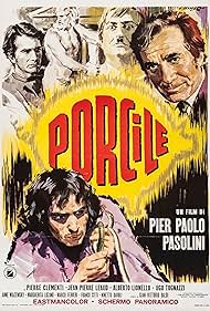 Porcile Porcile