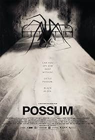 Possum Possum