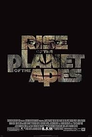 Rise Rise