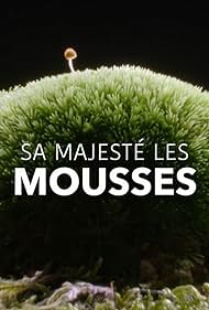Sa Sa