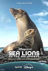 Sea Sea