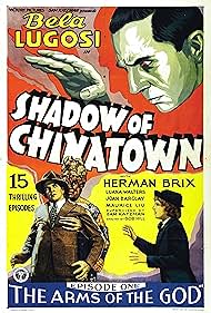 Shadow Shadow
