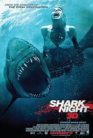 Shark Shark