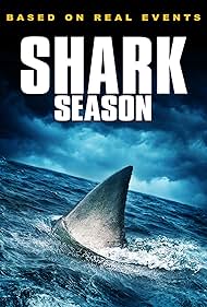 Shark Shark