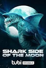 Shark Shark
