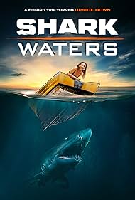 Shark Shark